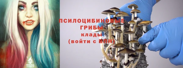 тгк Аркадак