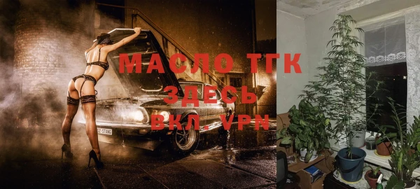 тгк Аркадак